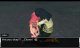 Aksys Games Zero Escape: Virtue's Last Reward #9