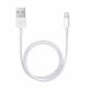 Apple Lightning / USB #1