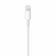 Apple Lightning / USB #2