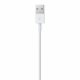 Apple Lightning / USB #3