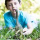 Schleich Dinosaurs 14581 #4
