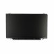HP Display panel