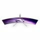 Philips Evnia 49M2C8900/00 #8
