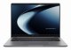 ASUS ExpertBook P3 PM3406CKA-LY0095X Copilot+ PC
