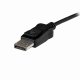 StarTech.com DP2DVID2 #3