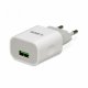 iBox C-35 #3