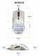 Glorious PC Gaming Race Glorious Model O- Mouse Regular (White) #9