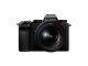 Panasonic Lumix S5 + LUMIX S 20-60mm F3.5-5.6 #2