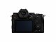 Panasonic Lumix S5 + LUMIX S 20-60mm F3.5-5.6 #7