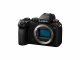 Panasonic Lumix S5 + LUMIX S 20-60mm F3.5-5.6 #9