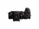 Panasonic Lumix S5 + LUMIX S 20-60mm F3.5-5.6 #12