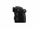 Panasonic Lumix S5 + LUMIX S 20-60mm F3.5-5.6 #11