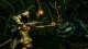 Namco Bandai Games Dark Souls Trilogy, PS4 #5