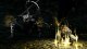 Namco Bandai Games Dark Souls Trilogy, PS4 #7