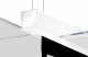 Projecta Tensioned Descender Large Electrol #2