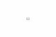 DJI CP.MA.00000156.01 #5