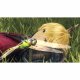 Nintendo Xenoblade Chronicles Definitive Edition #6