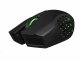 Razer Naga Epic Chroma #1