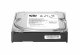 HP 60GB PATA HDD