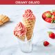 Magimix Gelato Expert #7