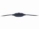 Equip Chat Headset #5