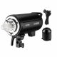 Godox DP1000III #10