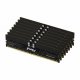 Kingston Technology FURY Renegade Pro