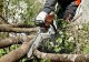 Stihl MS 261 C-M #3