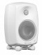 Genelec G Two #6